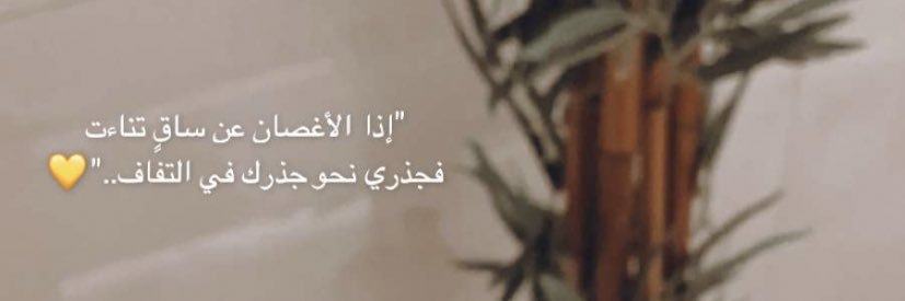 FSR_101's profile banner image