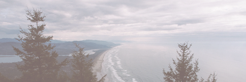 lRENEREDVEL's profile banner image