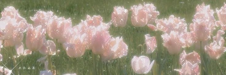 Levi0shaa's profile banner image