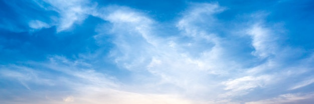 Гаазький вітер banner