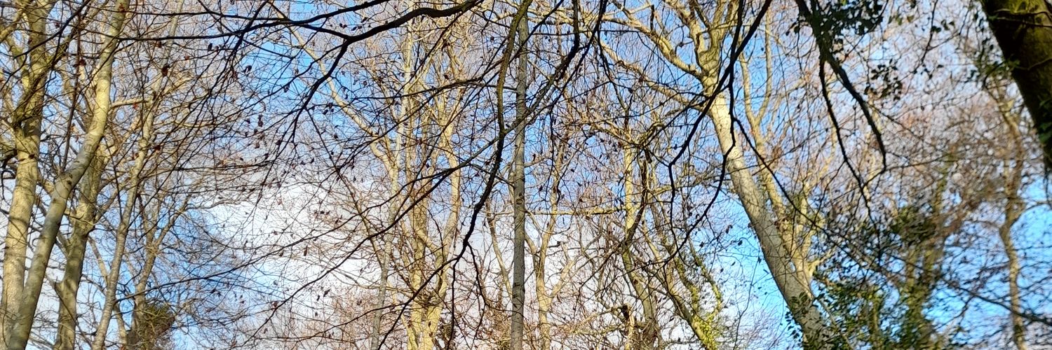 Dawne Garrett (She/Her) banner