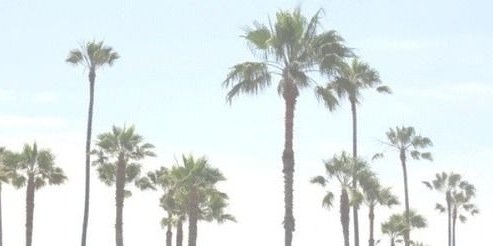 grindonmc's profile banner image