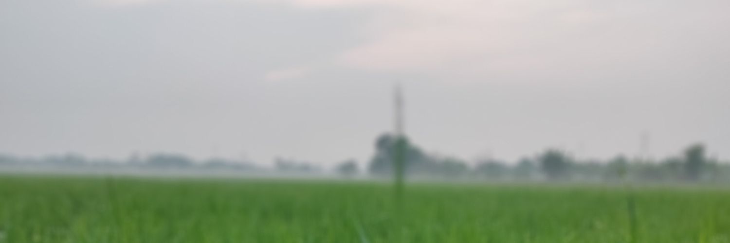 rfprayogi's profile banner image