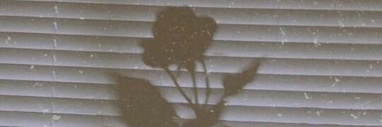 LHAYICS's profile banner image