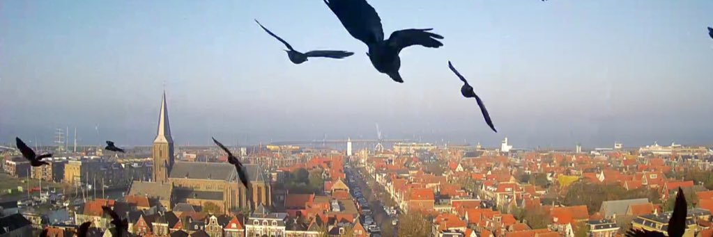 InfoHarlingen's profile banner image