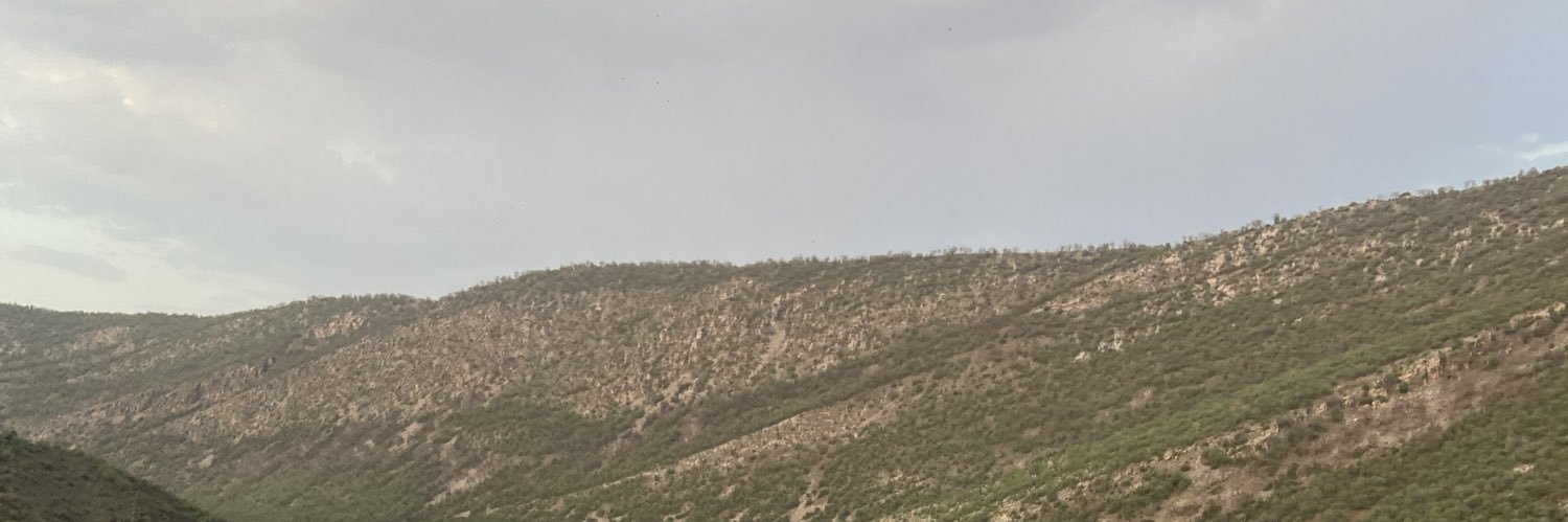 showstrom_bison's profile banner image