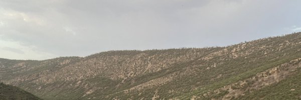showstrom_bison Profile Banner
