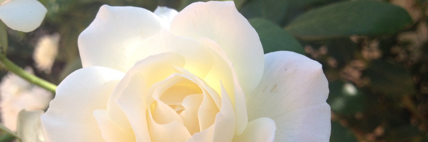 therry_t's profile banner image