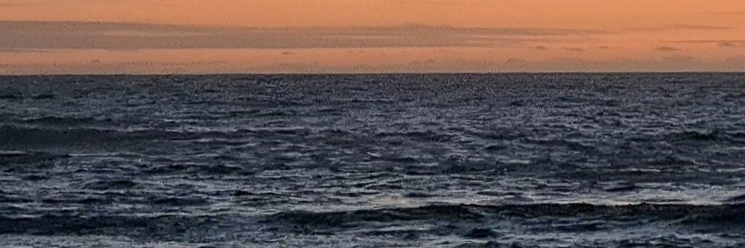 dontangerbear's profile banner image