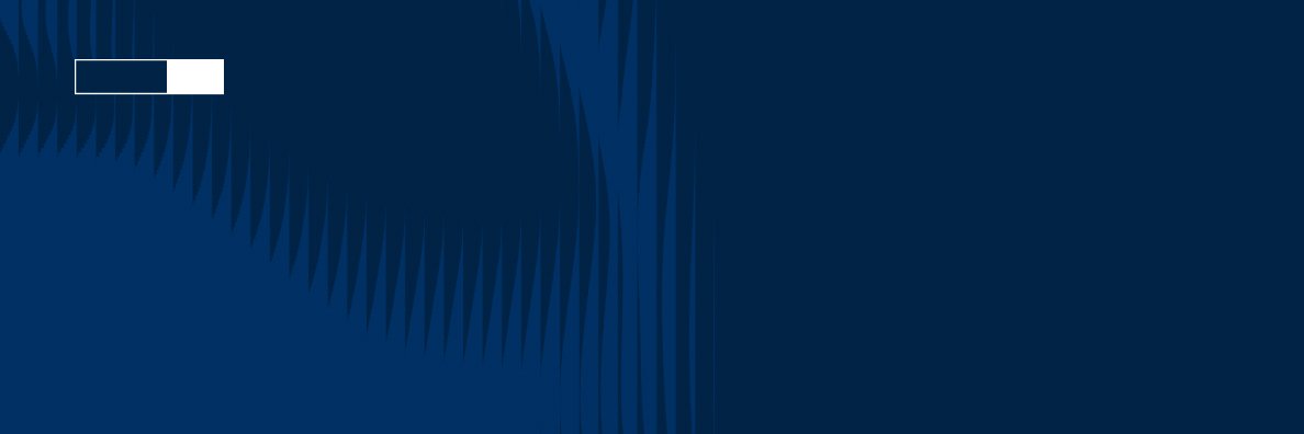 Susanne Spector banner