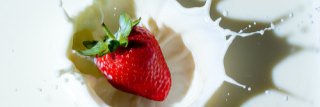 かず banner