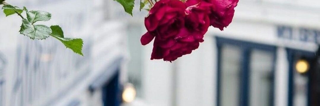 _doaa29's profile banner image