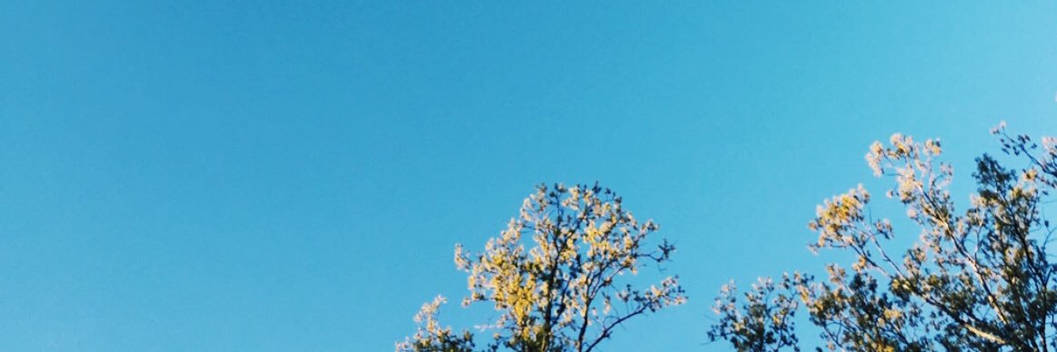 Gdrelationships's profile banner image