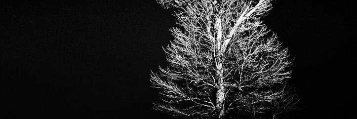 morelandojones's profile banner image