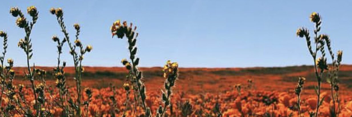 chai3939's profile banner image