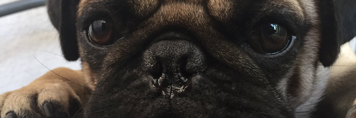 JamuDaWhale's profile banner image