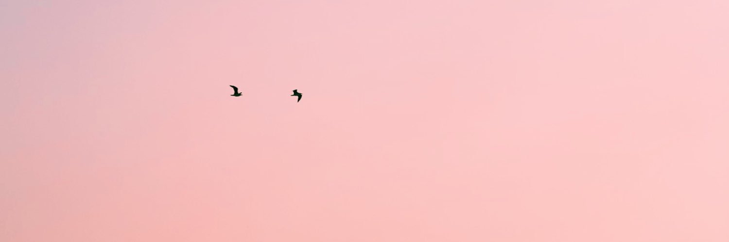 ferprobanza's profile banner image