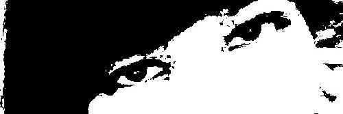 ceceliamonica's profile banner image