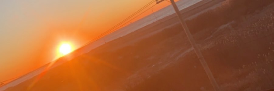 RoseRoyce31's profile banner image