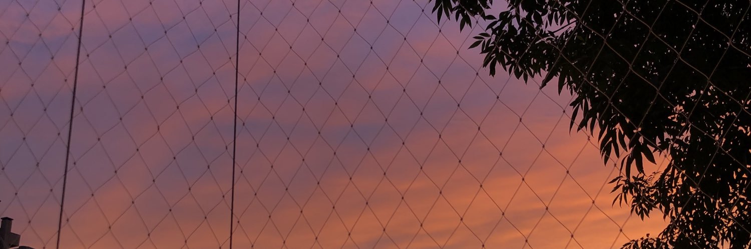 canmorenoo's profile banner image