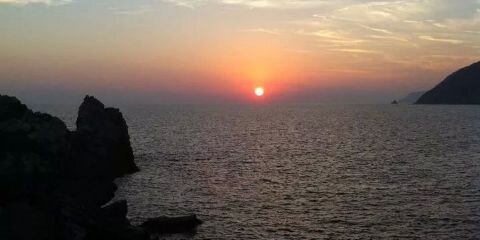 fefogazzo's profile banner image