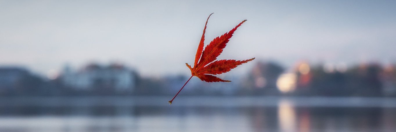 retawebn's profile banner image