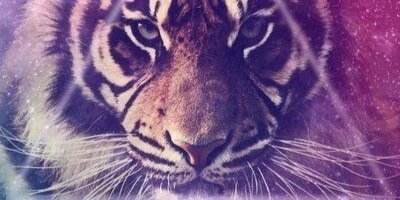 BCDinta's profile banner image