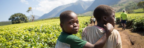 theGAIA Profile Banner