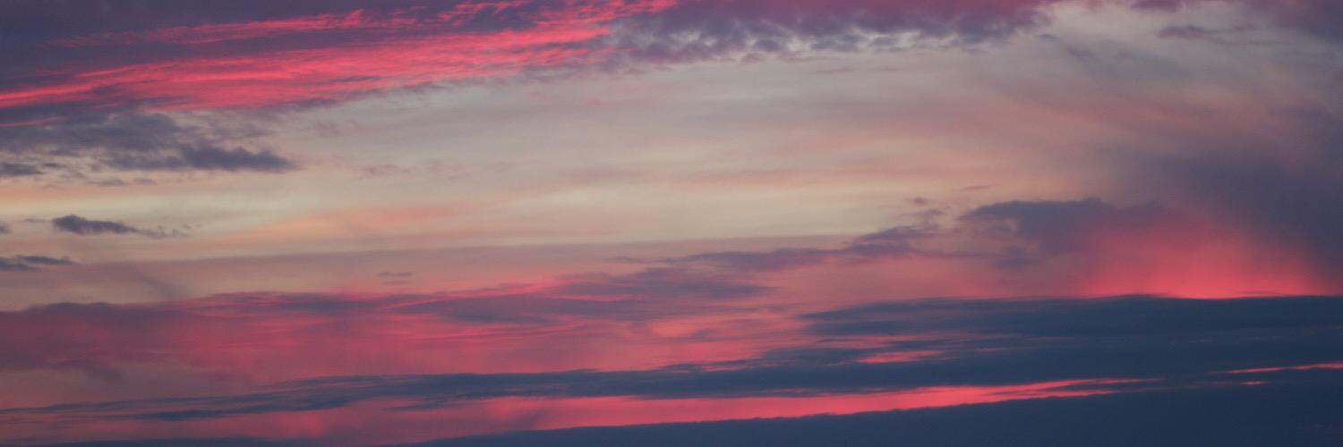 amyfeezor's profile banner image