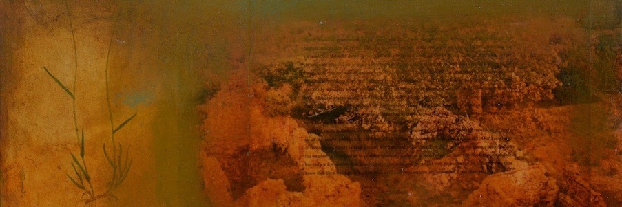 OliverSearsGallery banner