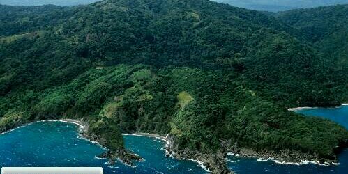 Chanchal Hari banner