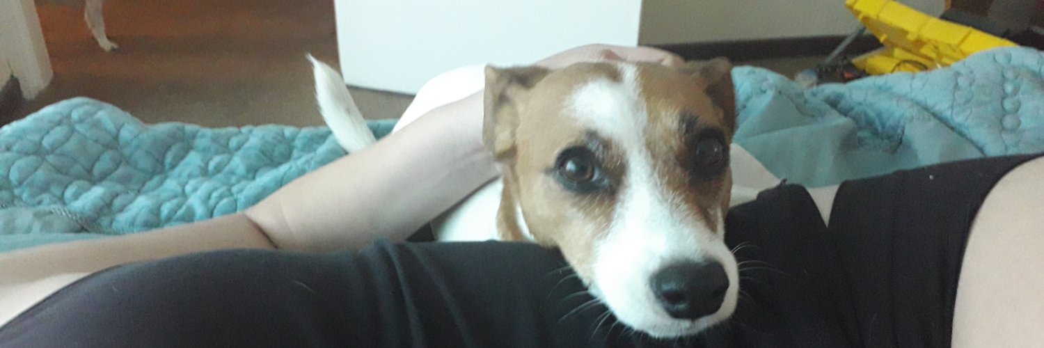 LivingJen10's profile banner image