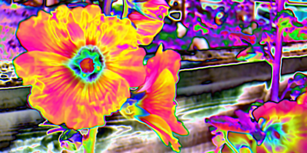 erikashields2's profile banner image