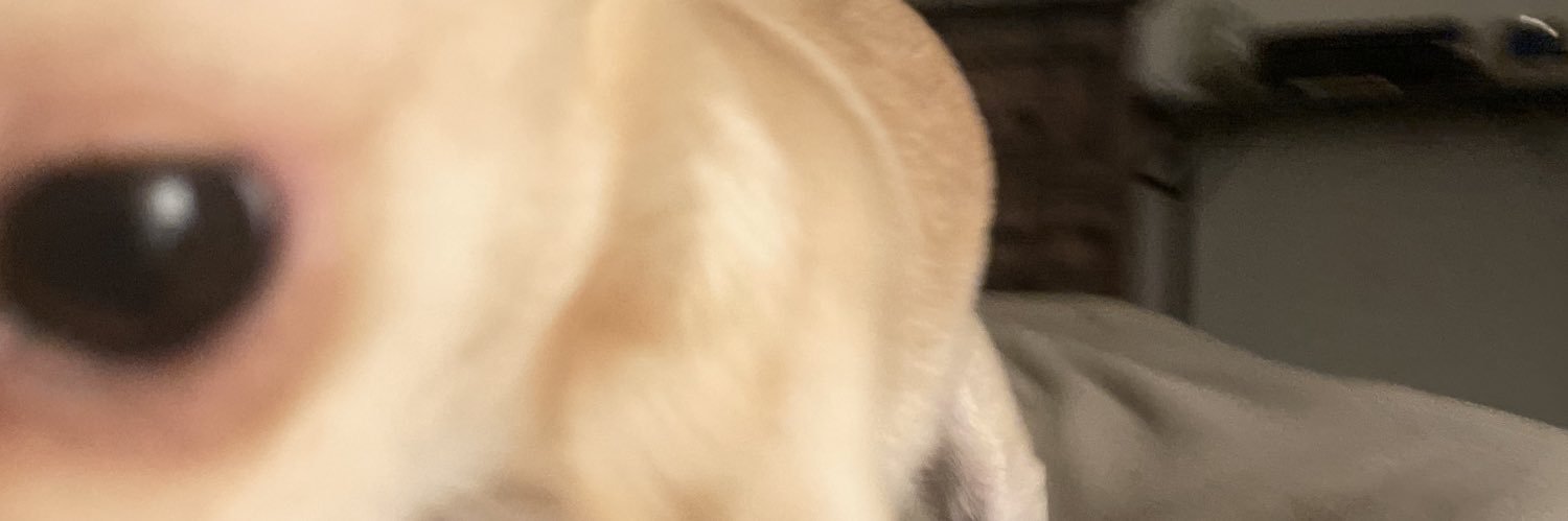 GannGarrett's profile banner image