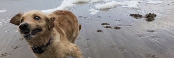 Correctietik Profile Banner