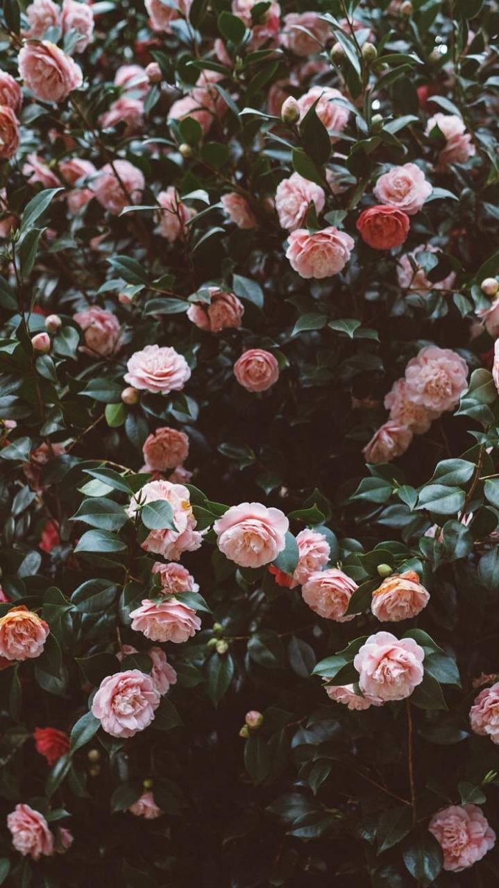 _mariyaa13's profile banner image
