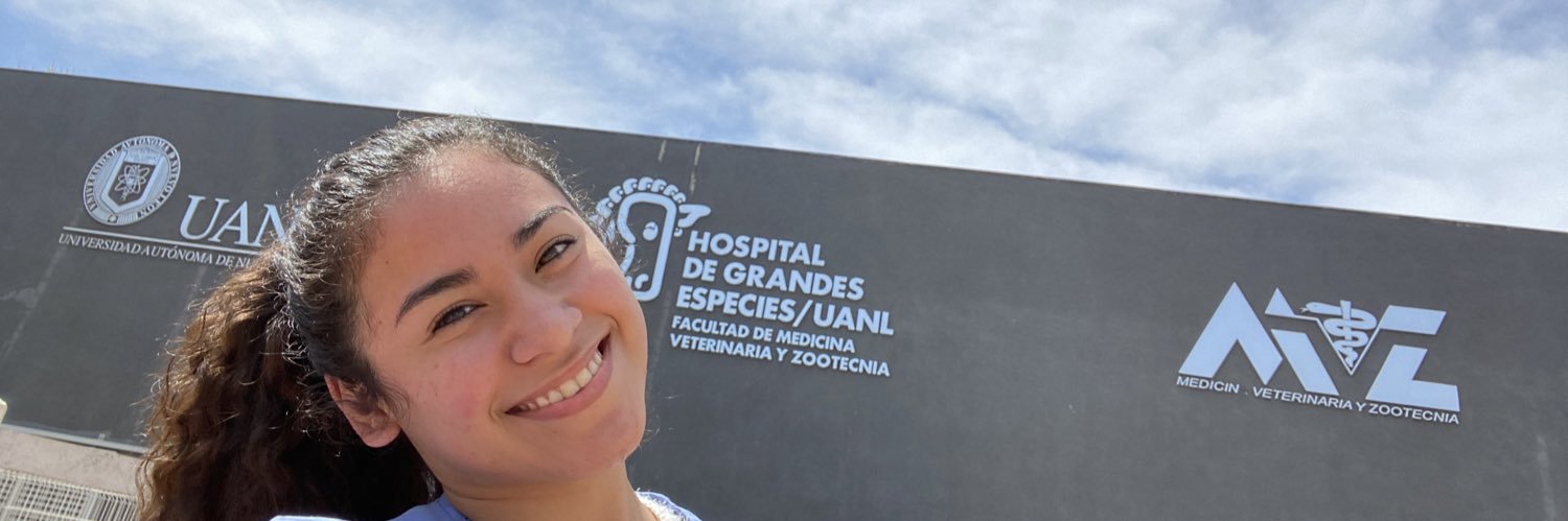 LissethObregon's profile banner image