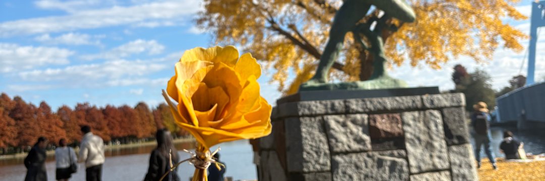 philskull's profile banner image