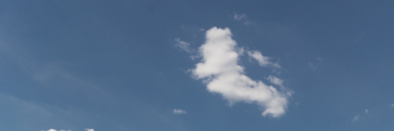 🐶 banner