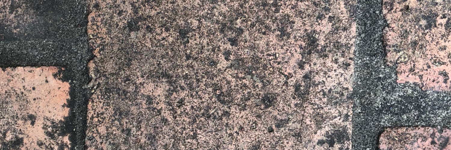 Cristian Llanos banner