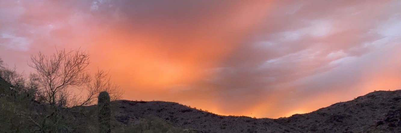 elpedroo__'s profile banner image