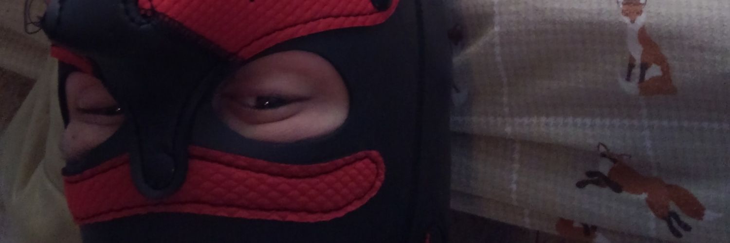 wolfpupsilver's profile banner image