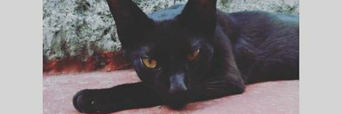 camisilver0's profile banner image