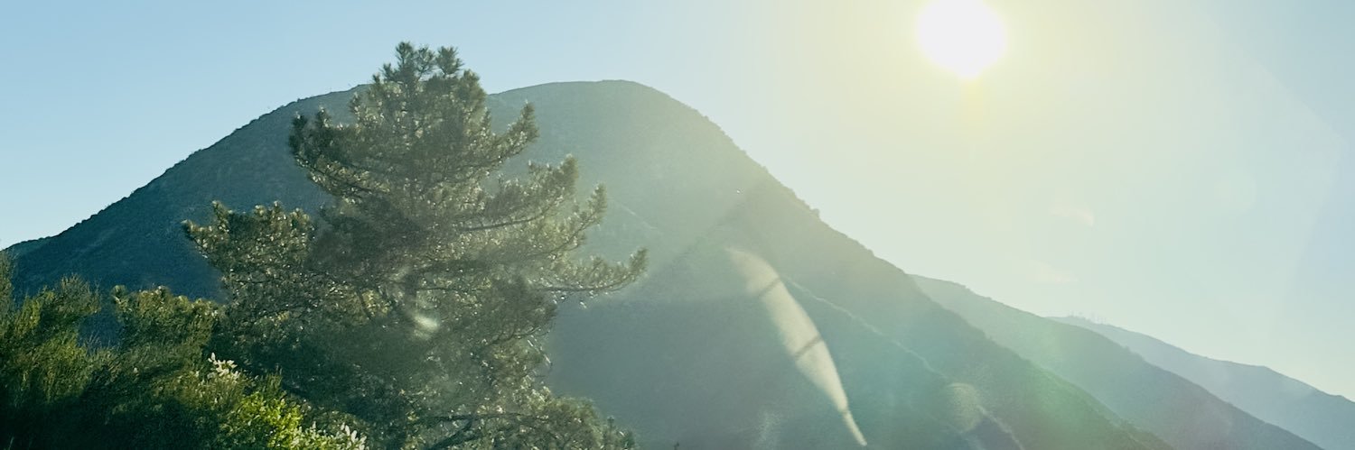 simpleRonnie's profile banner image