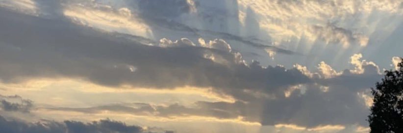becerragurrola's profile banner image