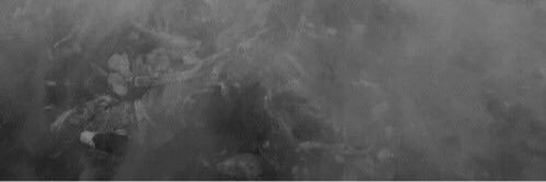 spookywade_'s profile banner image