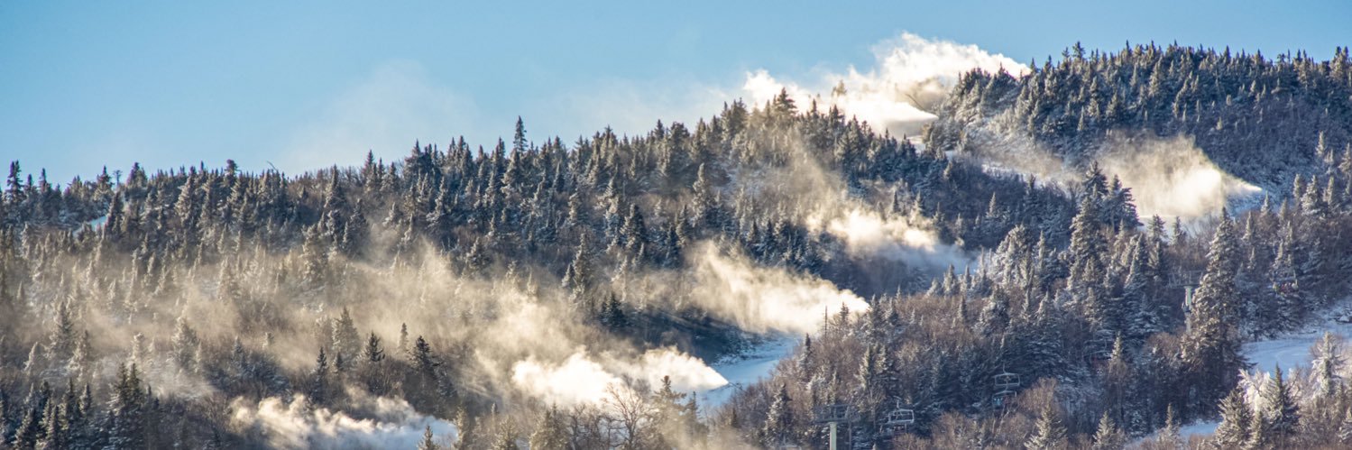 Stratton Mountain banner