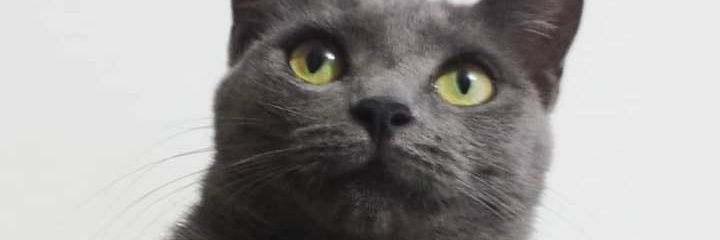 AndresF_1226's profile banner image