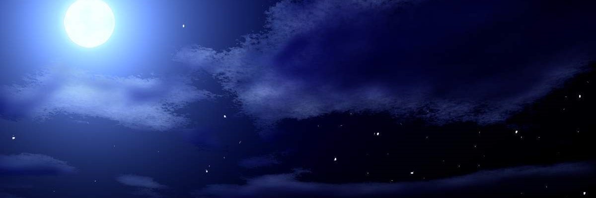 koinu_bot's profile banner image