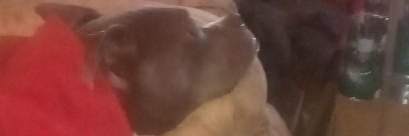 thebrokenangel's profile banner image